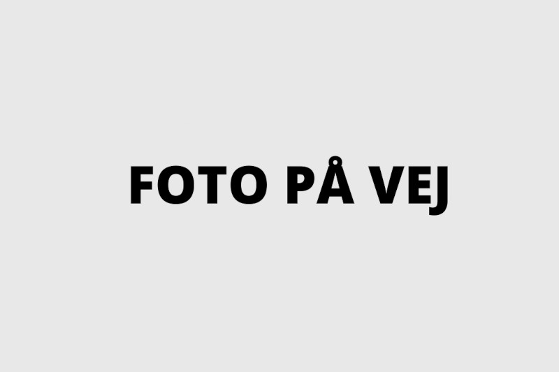 FOTO-Pa-grey